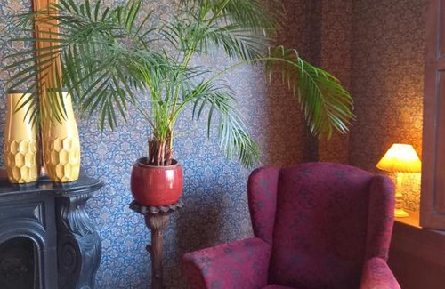 Stadskanaal Bed & Breakfast | Family-Friendly Escape at B&B Villa de Beuk - 10/10 Rating