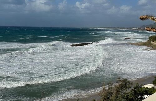 Pizzo Bed & Breakfast | Enjoy Oceanfront Comfort at Villa Gaia - Pet Friendly Retreat