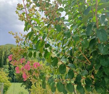 Pietralunga Bed & Breakfast | Discover B&B Villa Ginevra: Top-Rated Pet-Friendly Retreat