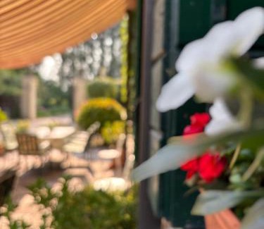 Lancenigo Bed & Breakfast | Guest Rated B&B Villa Gradenigo: Family & Pet Friendly Stay