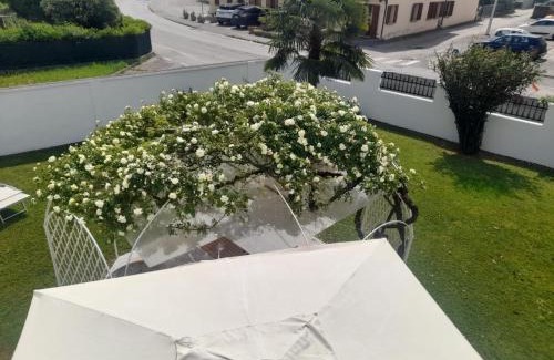 Quinto di Treviso Bed & Breakfast | Family-Friendly B&B Villa Griselda with 9.1/10 Rating