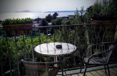 Ercolano Bed & Breakfast | Cozy B&B Villa Patrizia: Pet-Friendly with Breakfast Included
