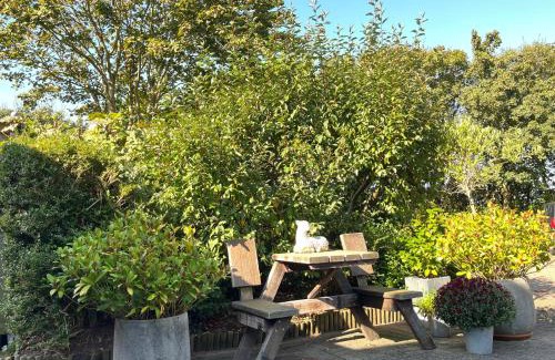 Den Burg Bed & Breakfast | Cozy Escape at B&B Vloedlijn Texel with Ocean Views