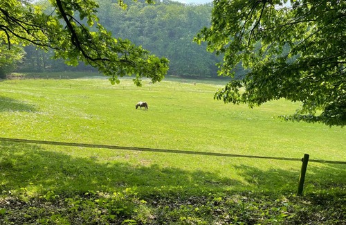 Beek-Ubbergen Bed & Breakfast | Discover B&B Wasboerderij Beek Ubbergen - Family-Friendly Retreat
