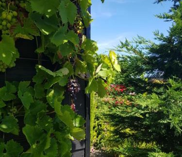 Zierikzee Bed & Breakfast | Oceanfront B&B WELKOM Zierikzee with Breakfast & Views