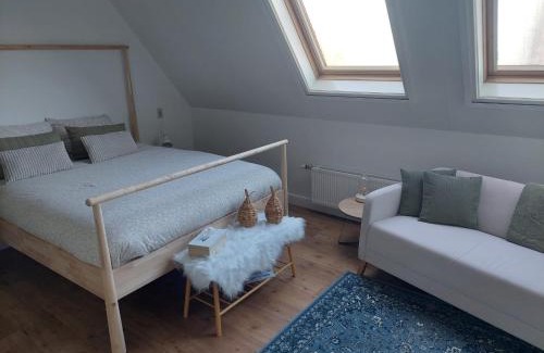 Wolsum Bed & Breakfast | Pet-Friendly B & B Wijdzicht with Exceptional Guest Ratings