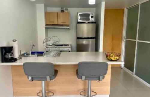 Cuauhtemoc Apartment | Cozy One Bedroom Apartment with Kitchen and Pet-Friendly Options