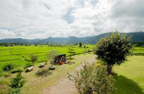 Pua House | Explore Baan Chomphu @Pua: Family-Friendly Retreat