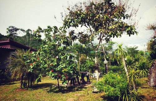Nong Nam Daeng Resort | Affordable Comfort at Baan Khaoneawdum with Great Amenities