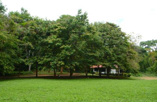 Phrao Cabin | Budget-Friendly Baan Korbsuk Teak Cabins for Families & Pets
