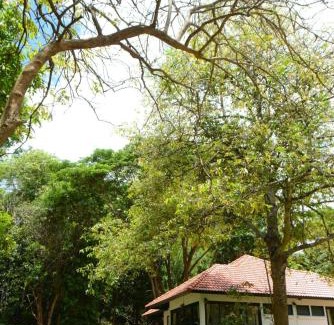 Phrao Cabin | Budget-Friendly Baan Korbsuk Teak Cabins for Families & Pets