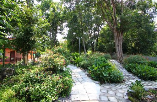 Phaya Yen House | Discover Guest Houses in Phayayen, Thailand with Breakfast