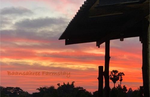 Nong Chang House | Family-Friendly Baansahree Homestay for Your Next Getaway