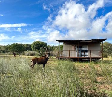 Hessequa Apartment | Discover Baardbos Private Game Reserve: Family-Friendly Escape