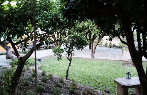 Sao Joao da Pesqueira House | BABhouse Villa Jardim das Laranjeiras