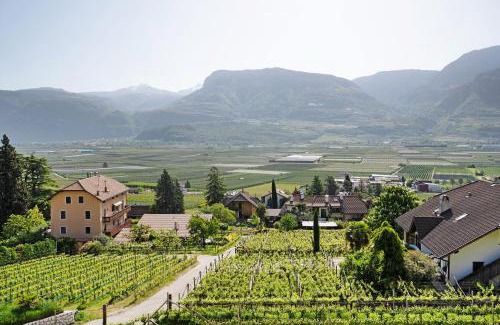 Tramin Apartment | Experience Bacchushof Apartment Sauvignon with Pool Access