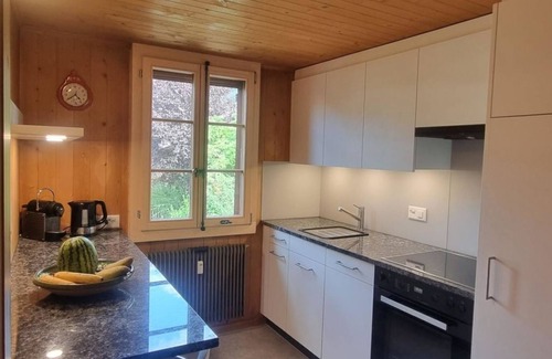 Zweisimmen Apartment | Explore Comfort at Bachhüsi by Interhome with Spa Access