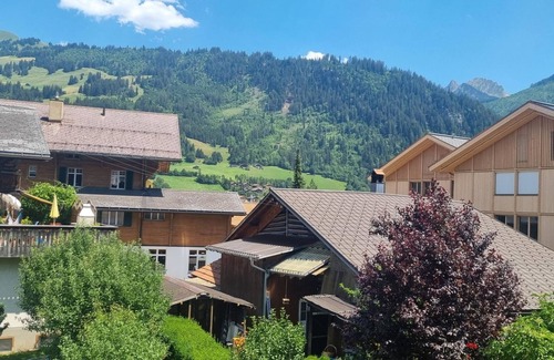 Zweisimmen Apartment | Explore Comfort at Bachhüsi by Interhome with Spa Access