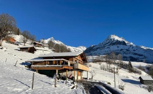 Grindelwald Apartment | Family-Friendly Bachsbort 4-Bed Apartment with Eiger Views