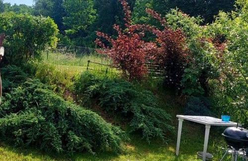 Janowice Wielkie Apartment | Pet-Friendly Bacio-Bacio Apartamenty with Kitchen Access