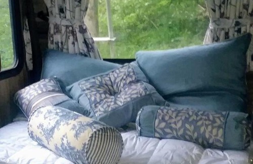 Conewango Valley House | Cozy Back Bottom Camp Shine On Valley - Family & Pet Friendly