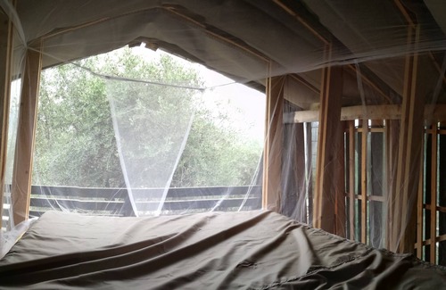 Camporosso House | Back to nature, comfort lodging in an olive grove - a truly unique place to stay