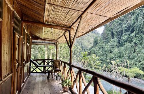 Bukit Lawang House | Eco-Friendly Retreat: Back to Nature Ecotourism Awaits