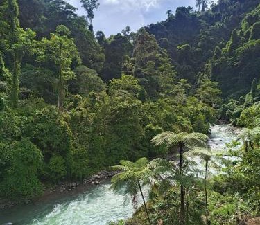 Bukit Lawang House | Eco-Friendly Retreat: Back to Nature Ecotourism Awaits
