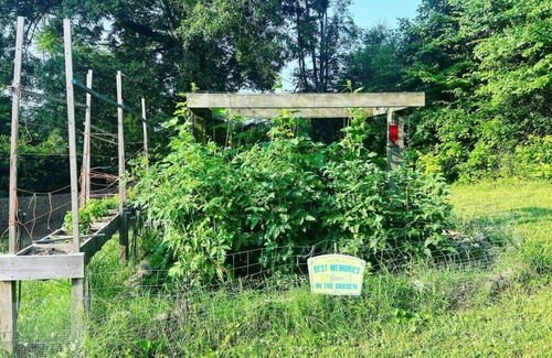 LaFayette RV Rental | Enchanting Fairy Cottage Glamping Tent with Pool Access