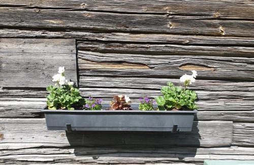 Tallberg Apartment | Explore Backhansgården I Plintsberg: Family-Friendly Stay