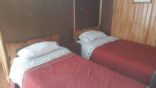 Porvenir Hotel | Budget-Friendly Backpacker 644: Pet Friendly & Kitchen Access