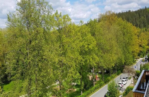 Schwarzenbrunn Apartment | Pet-Friendly Apartment in Sohl with Complimentary Breakfast