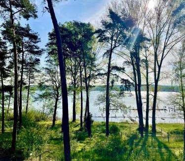 Bad Saarow Apartment | Bad Seerose mit Seeblick, Dachterrasse, Pool und Sauna