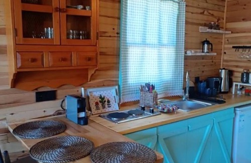 Bergama Other | Badece Farm Green House