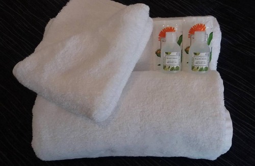Fenton Street Hotel | Relax at Baden Lodge Motel with Spa and Family Amenities