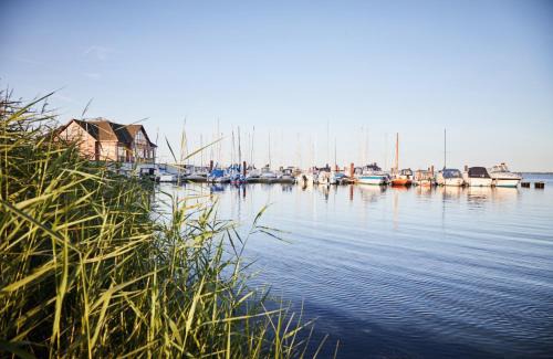 Hohen Wieschendorf Resort | Pet-Friendly Bades Huk Marina Hotel with Oceanfront Views
