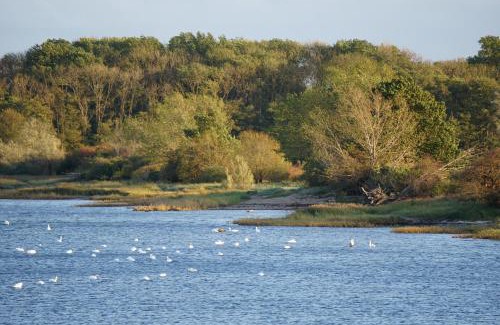 Hohen Wieschendorf Resort | Pet-Friendly Bades Huk Marina Hotel with Oceanfront Views