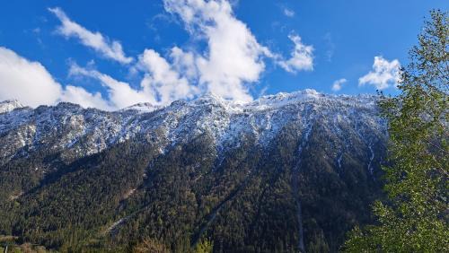 Ausserbraz Apartment | Experience Baers Mountain Stay with Oceanfront Views