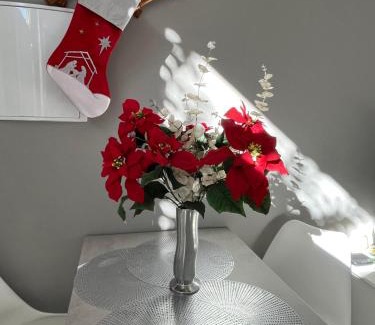 Old Town Baeza Apartment | Unforgettable Stays at Baeza Aloja - Rated 10/10