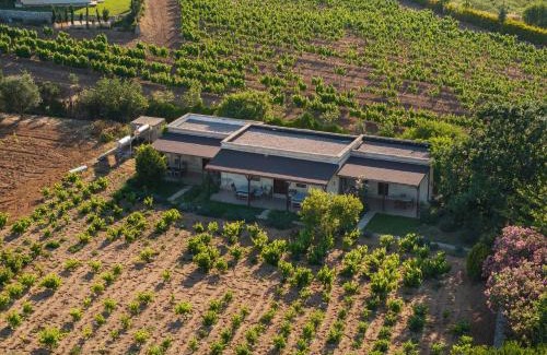 Bozcaada House | Family-Friendly Retreat at Bagbadem Tatil Çiftliği