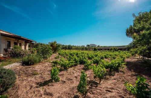 Bozcaada House | Family-Friendly Retreat at Bagbadem Tatil Çiftliği