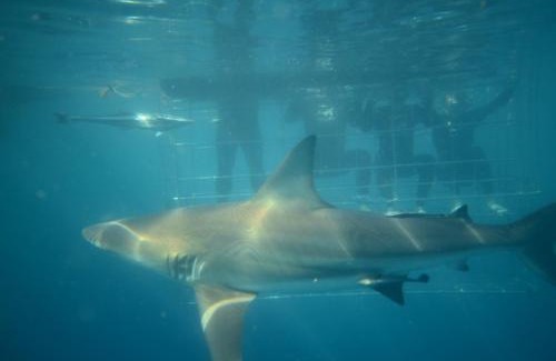 Umkomaas Apartment | Baggies Inn