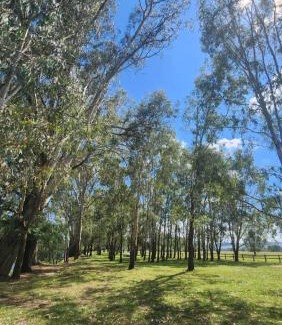 Bombowlee House | Bahwidgee Lodge - Riverside Retreat