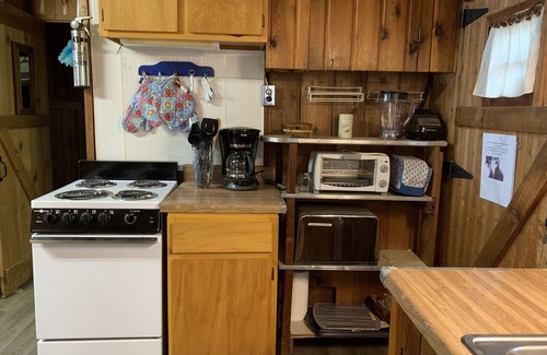 Lewiston Cabin | Pet-Friendly Bailey’s Rustic Lakehouse on All-Sports Tee Lake