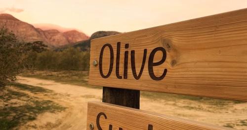 Drakenstein House | Experience Bains View Olive: A 4-Star Family Retreat