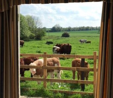 Horncastle Apartment | Cozy Bainvalley Cottages - The Shamba for Family Getaways
