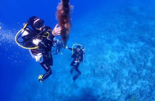 Aqaba Apartment | Discover Bait Alaqaba Dive Center & Resort with Ocean Views