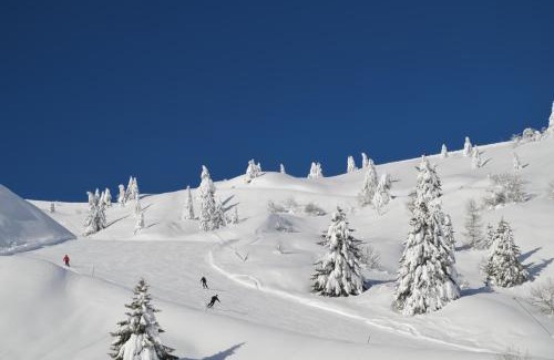 Sutrio Hotel | Relax at Baita Goles: Pet-Friendly Retreat with Spa