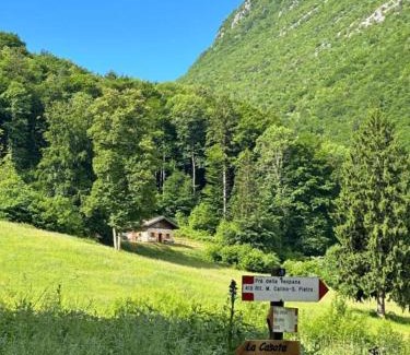 Lomaso Ski Chalet | Discover Baita Lomasona: Pet & Child-Friendly Retreat