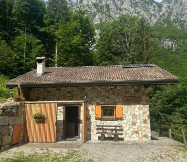 Lomaso Ski Chalet | Discover Baita Lomasona: Pet & Child-Friendly Retreat